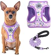 Amazon | BEAUTYZOO 犬 ハーネス リードセット 抜けない 胴輪 引っ張り