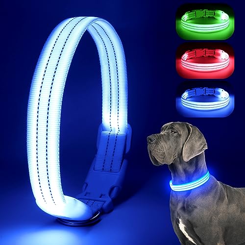Chalklit Light Up LED Dog Collar, USB Rechargeable Waterproof Reflective Adjustable Flashing Dog Collar Lighted