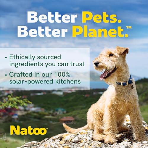 Image of NATOO Biscuits for Small Dogs & Puppies, Coconut & Mango, 8 oz