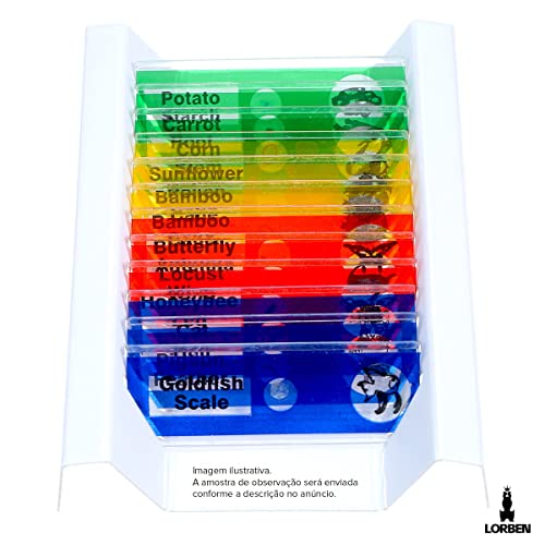 Lâminas Preparadas para Microscópio Educativo Infantil Ensino Crianças 12 Peças de FC6072