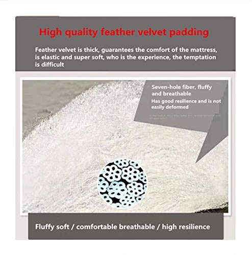 Foldable Plush Floor Mattress Thicken Non-Slip Futon Mattress Japanese Student Tatami Mattress Comfort Living Room Portable Sleeping Pad Washablea-90X200Cm(35X79Inch) #TOP3