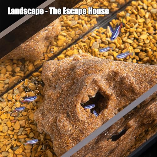 Accessoires pour gecko et lézards pour optimiser leur bien-être
