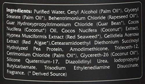 RENPURE Coconut Whipped Creme Leave-In Conditioner, Basic, Fragrance, 16 Fl Oz