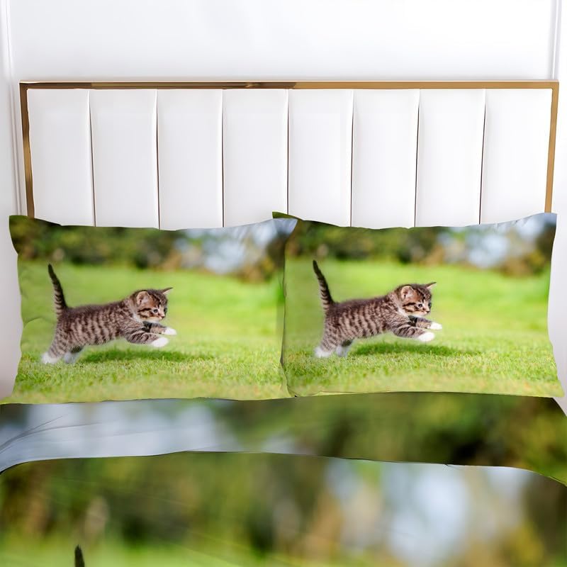 Miniatura 3 de Civet - Juego de funda de edredón con estampado de animales, funda de edredón de microfibra suave y 2 fundas de almohada de 20 x 26 pulgadas, juego