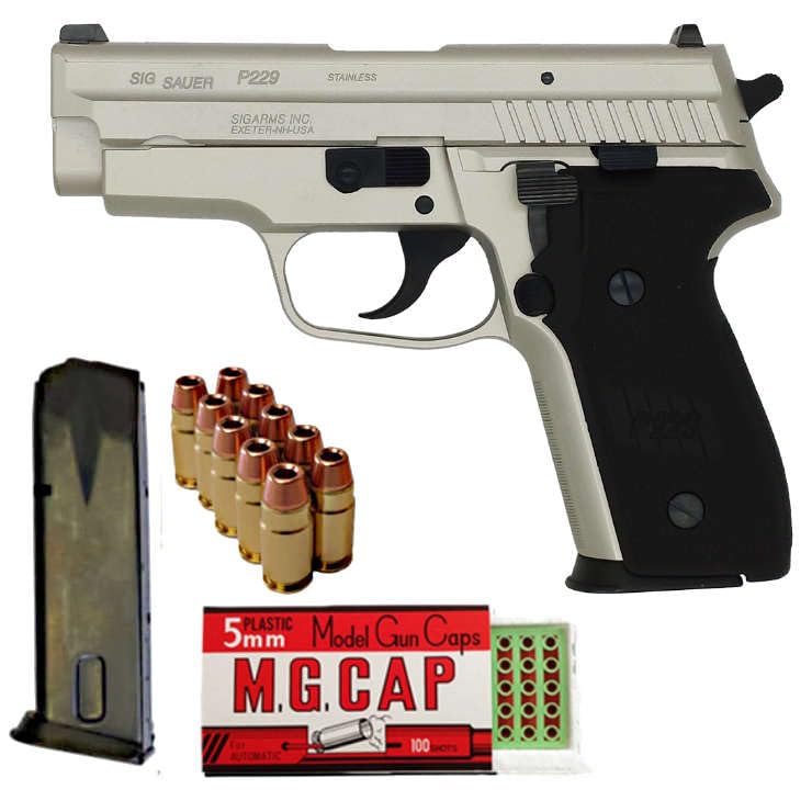 Amazon.co.jp: タナカワークス SIG P229 .357 SIG Evolution 2 ALL HW