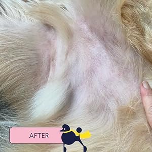 Finn Skin Hero | Revitalizing Natural Dog Skin Balm | Soothes, Strengthens & Protects from Hot Spots, Itching and Irritation - 1.75 oz Finn Skin Hero | Revitalizing Natural Dog Skin Balm | Soothes, Strengthens & Protects from Hot Spots, Itching and Irritation – 1.75 oz