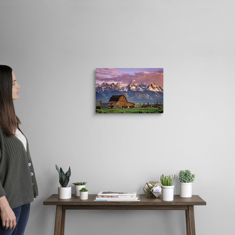CANVAS ON DEMAND A Herd of Buffalo Walk in Front of Mormon Barn, Jackson, Wyoming Canvas Wall Art Print by Joseph Roybal, Fine Art Photography, Home Decor, Wildlife, Landscape, Artwork,18" x12in
