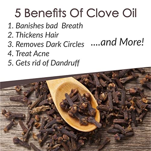 Image of B-URBAN Clove (Syzygium Aromaticum) Oil|100% Pure & Natural Undiluted Essential Oil Organic Standard For Skin & Haircare|Calming Properties, Eases Headaches, Reduces Aging Signs,Pain-Reliever-100ML