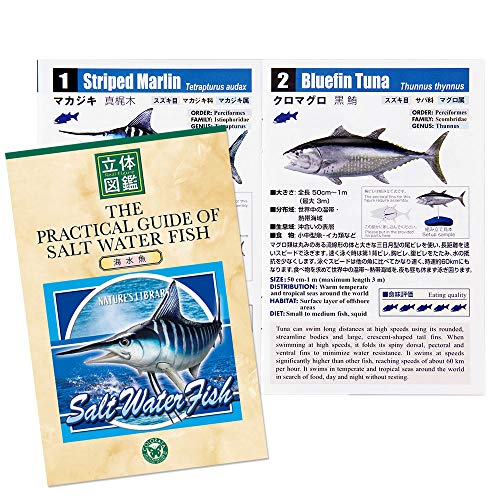 シラウオ さっぱり食べたい季節感抜群の春告魚 さかなのさ 魚美味探求