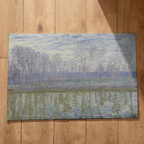 CEVAN Alfombras Puerta Entrada Exterior Felpudo Zapatos Fuera Arte de Pintura Al Óleo Paisaje Alfombra Antideslizante Ducha Alfombrilla Atrapapolvo 45x75cm