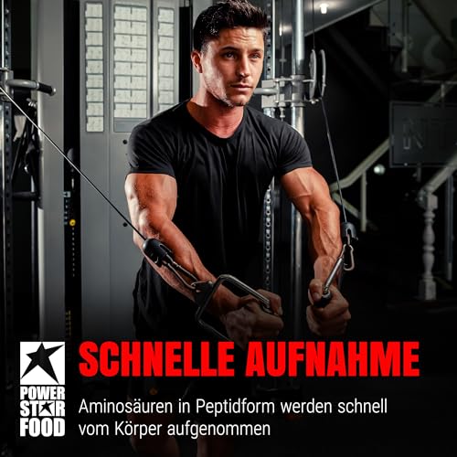 Powerstar WHEY AMINO | 500 Eiweiß-Tabletten hochdosiert mit 1.000mg pro Tablette | 100% Whey Protein Hydrolysat OHNE Zusätze & Süßungsmittel | Reich an EAA, Glutamin & anderen Aminosäuren