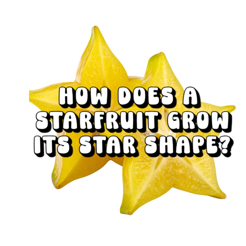 How Does a Starfruit Grow Its Star Shape?