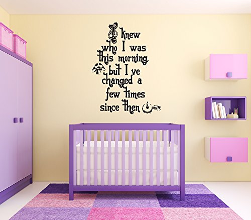 Wall Vinyl Sticker Alice in Wonderland Cheshire Cat Queen Of Heart White Rabbit Caterpillar Duchess Wall Vinyl Sticker Quote Phrase Fairy Tale Cartoon Character Girl Boy Nursery Kids Room Decor SA1612