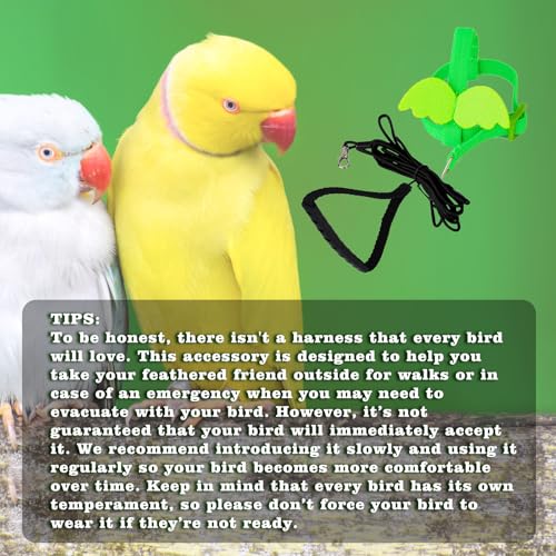 Image of Adjustable Bird Leashes and Harnesses, Bird Nylon Harness with Cute Wing for Parrots, Pet Bird Accessories, Bird Leash for Hang Out, Suitable for Cockatiel, Quaker, Amazon Parrot and Same Size Birds