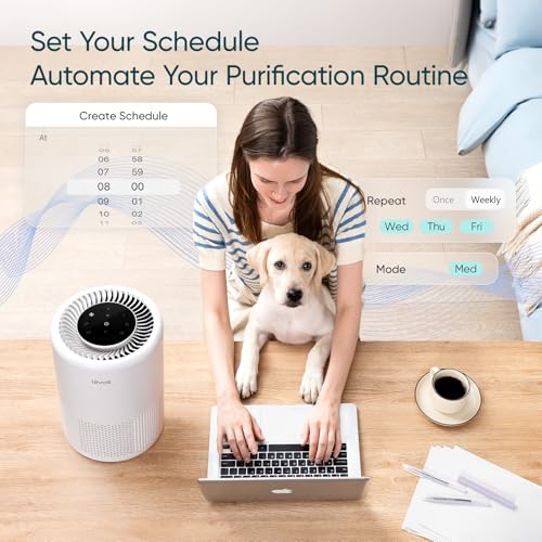 Recopilación de Purificador de Aire Walmart , tabla con los diez mejores. 5 Purificador de Aire Walmart marca LEVOIT (2)