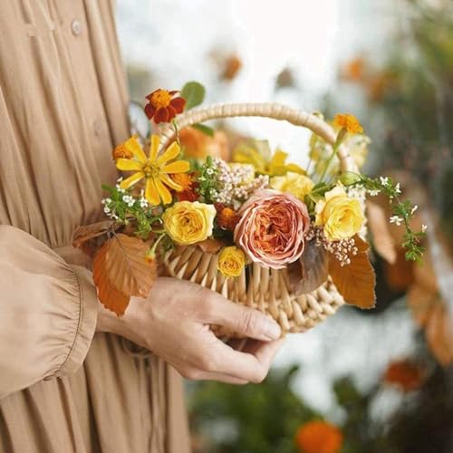 Image of Decorative Half Moon Hand-Woven Flower Baskets | Pooja Basket | Cane Basket | Rattan Basket | Half Moon Wicker Basket Willow (Approx Size 5 /6 Inchs) Set Of (1) - Rectangular