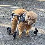 Generisch Verstellbarer Hunderollstuhl für behinderte Haustiere - Hinterbeinstütze, Beinschiene...