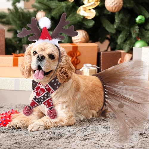 Set Disfraz Navidad Para Perros Medianos 3 Piezas miniatura 6