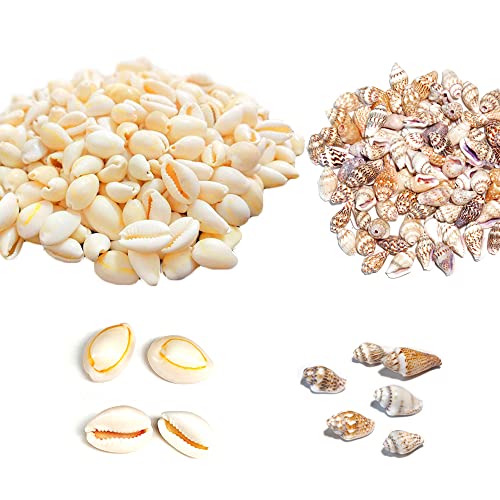 Zasvec Conchiglie per Collane Conchiglie Spirale