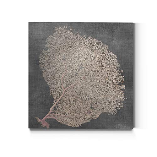 Renditions Gallery Square Canvas Wall Art: Neutral Coastal, Multicolor Nature, Modern Landscape Abstract Wall Art for Home & Office - Natural Sea Fan IX 16x16