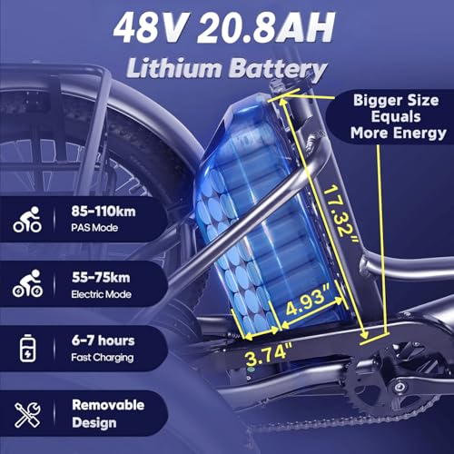 Electric Tricycle for Adults Cargo