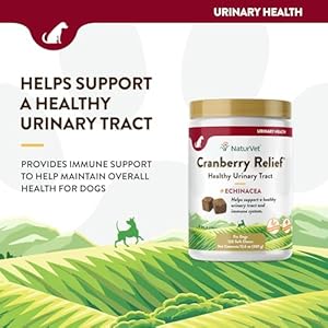 NaturVet – Cranberry Relief Plus Echinacea – Helps Support a Healthy Urinary Tract & Immune System – 120 Soft Chews