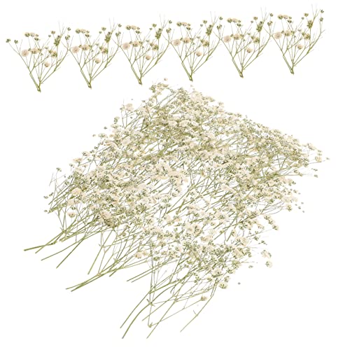 Kit de Ramo de Flores Secas para Decoración