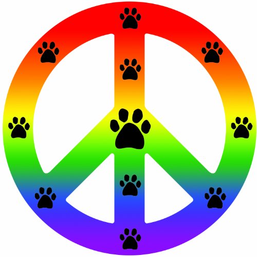 Imagine This Peace Car Magnet Sign, Rainbow, 41/2-Inch by 4-1/2-Inch