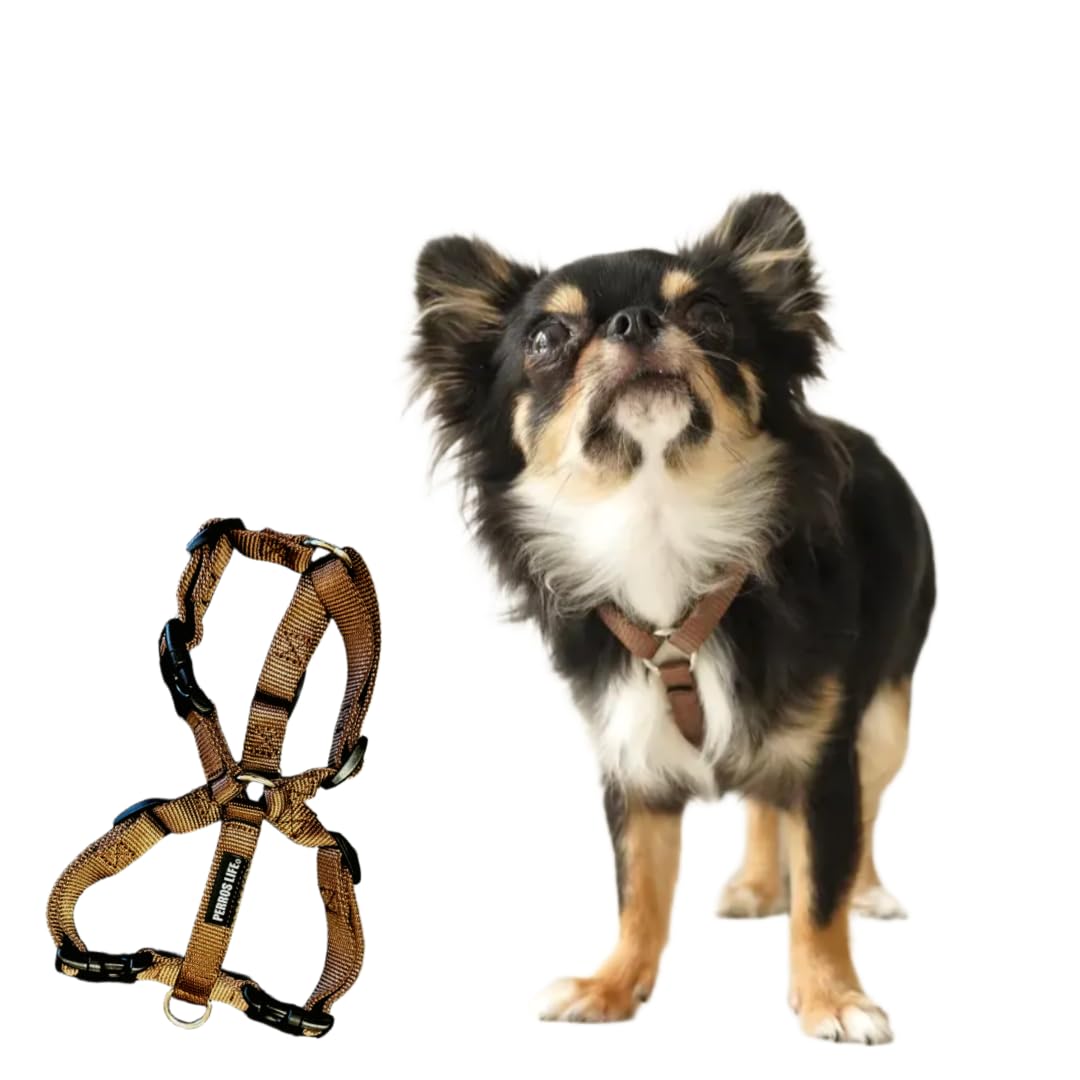 Amazon | 犬用ハーネス 超小型犬用 小型犬用【PERROS ペルロスハーネス
