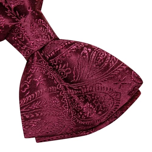Image of Dubulle Mens Paisley Striped Bowtie Set Pre-tied Bowtie for Men and Pocket Square Set Wedding Business