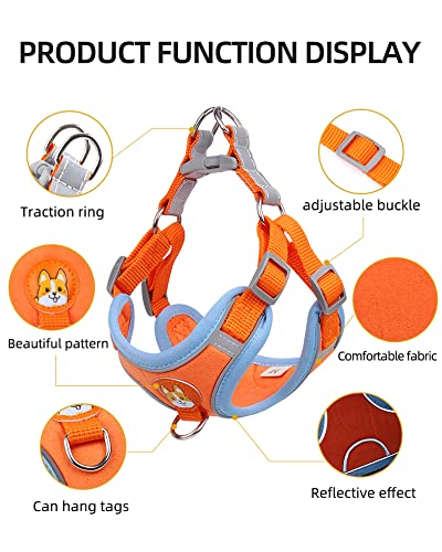 MeiAOBest Dog Harness with Leash set - Image 4