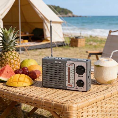 Radio portátil Zopsc AM FM SW Bluetooth recargable USB miniatura 6