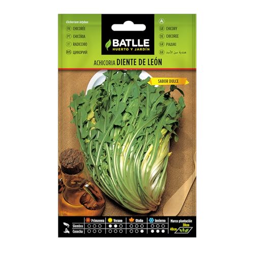 Semillas Batlle Achicoria Silvestre DIENTE DE LEON