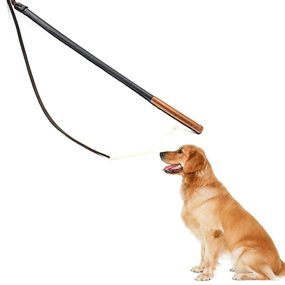 Fouet de Dressage pour Chiens Professionnel, Manche en Fibre à Haute Rebond, Caoutchouc et Cuir Synthétique, pour Formation et Éducation