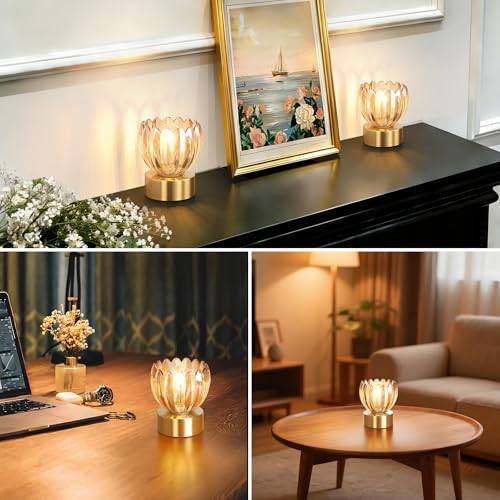 Image of Shenmoyl Cordless Small Table Lamp with 5200mAh Battery & Touch Control, Battery Operated Tulip Table Lamp with 3 Colors, Rechargeable Mini Table Lamps for Bedsides, Bedroom, Nightstand (Amber)
