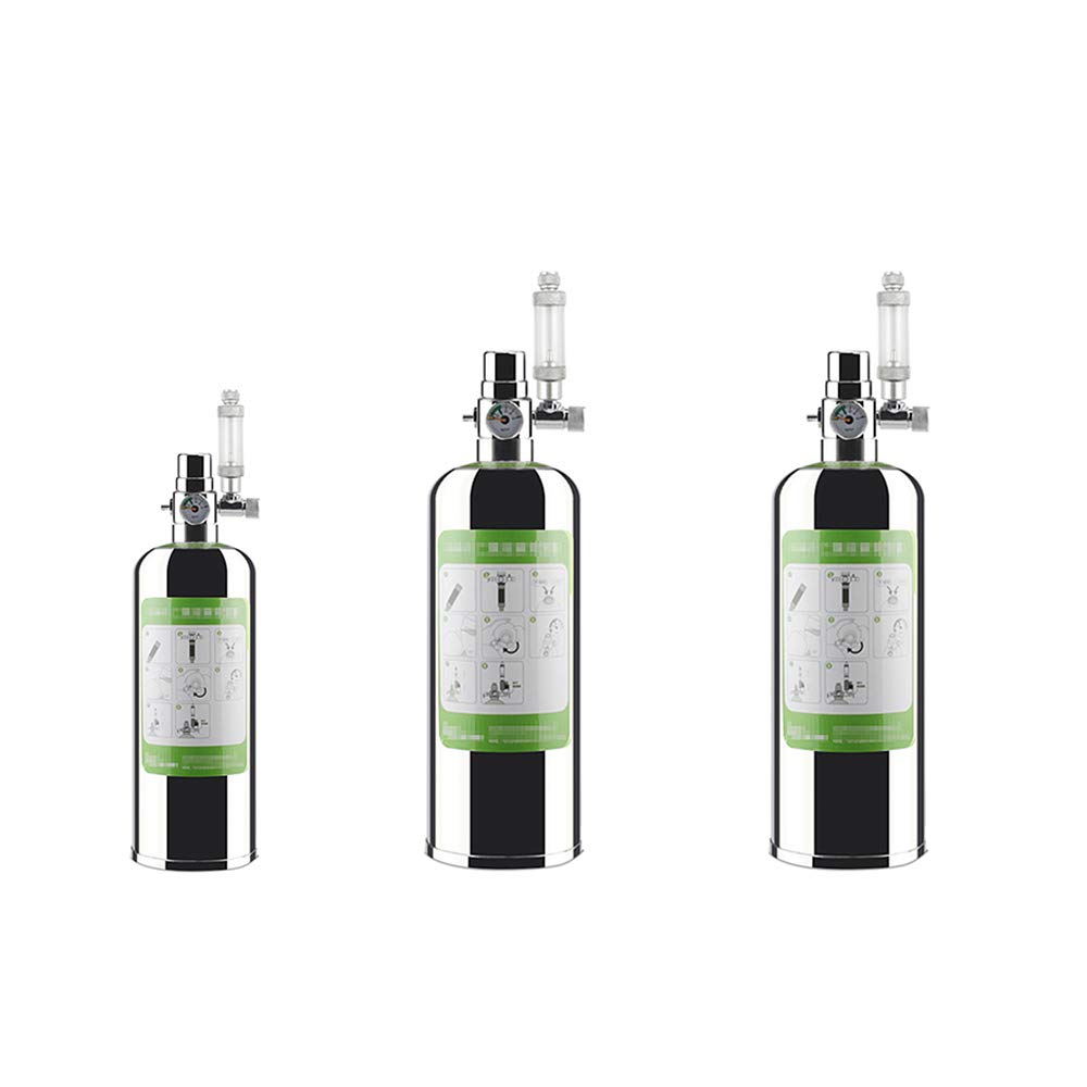 Lixada 2L Double Aquarium CO2 Generator System Kit CO2 Stainless Steel Cylinder Generator System with Solenoid Valve Bubble Diffuser Carbon Dioxide Reactor Kit for Plants Aquarium