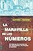 La maravilla de los n&Atilde;&ordm;meros
