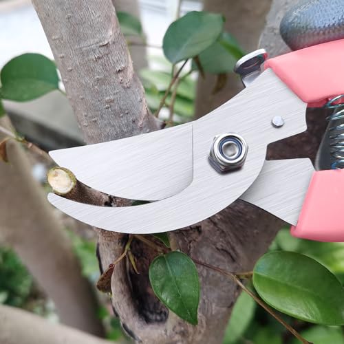 Tijeras para Flores con Cuchillas de Acero Inoxidable y Mango Ergonómico miniatura 2