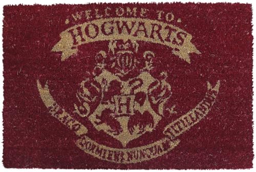 Harry Potter Welcome to Hogwarts Unisex Fußmatte Multicolor