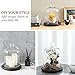 MyGift Clear Cloche Glass Dome,9 Inch Display Bell Jar with Top Handle and Rustic Brown Solid Wood Base