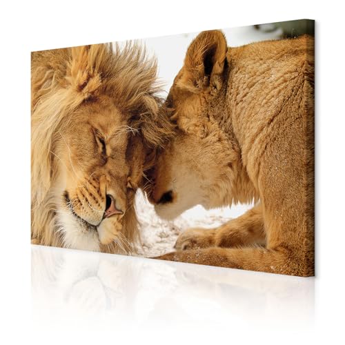 decomonkey Bilder Wandbilder Löwe Afrika 120x80 cm 1 Teilig Leinwandbilder Bild auf Leinwand Wandbild Kunstdruck Wanddeko Wand Wohnzimmer Wanddekoration Deko Tiere Wildlife Natur