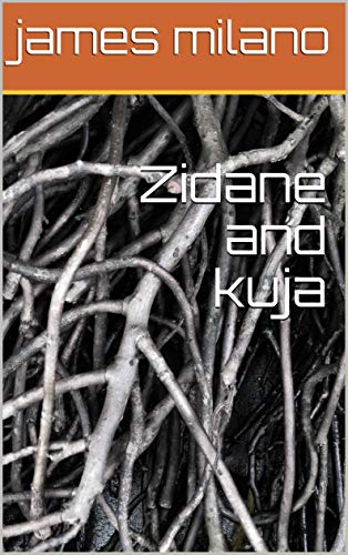 Zidane And Kuja English Edition Ebook Milano James Amazon De Kindle Store amazon de