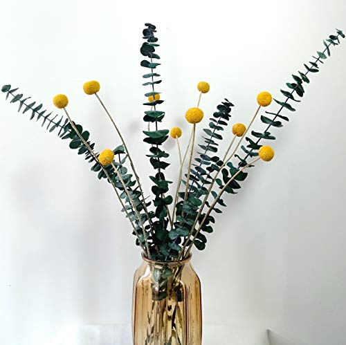 Ramo de flores secas con hojas de eucalipto y Billy Balls 22" miniatura 2