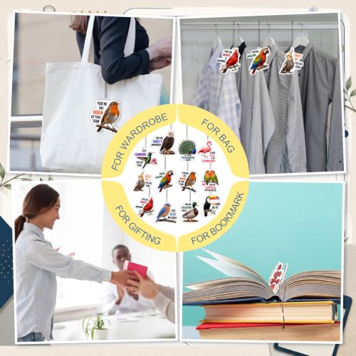 Image of Siifert 24 Pcs Vet Tech Appreciation Gift Bulk Funny Bird Air Freshener Car
