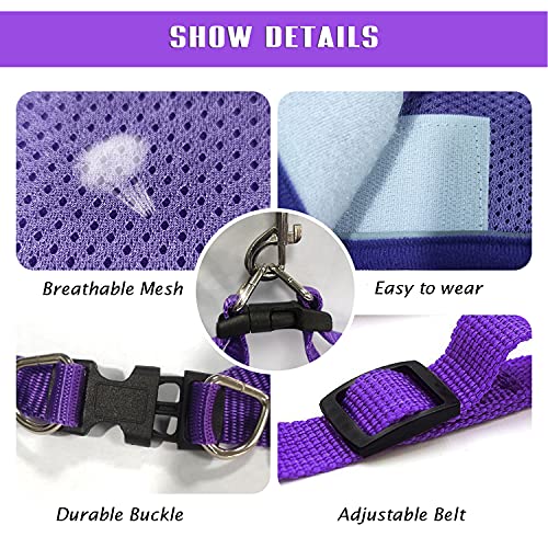 Image of FEimaX Dog Harness and Leash Set, No-Pull Breathable Soft Mesh Puppy Vest Harness Reflective Adjustable Pet Harnesses for Small Medium Dogs and Cats - Outdoor Easy Control for Walking