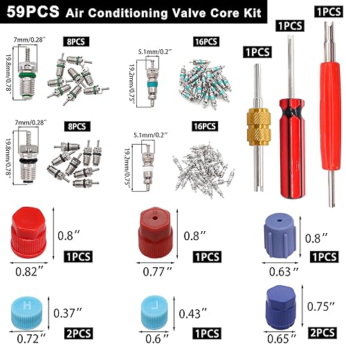 Image of Taiss 59PCS Air Conditioning Valve Core Accessories Kit R12 R134a Refrigeration Tire Valve Stem Cores with Valve Core Rmover Tool HVAC AC System Seal Caps Kit F-092
