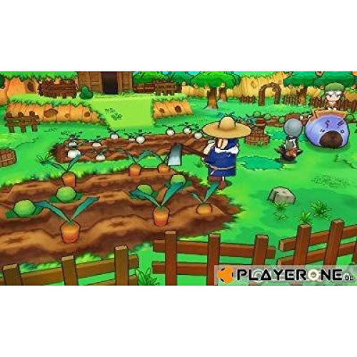 Fantasy Life 3ds - vue 7