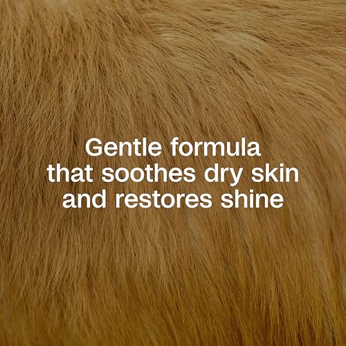 Image of ADAMS Plus Botanicals Flea & Tick Shampoo with Precor for Dogs, Cats, Puppies & Kittens, Flea Shampoo to Treat Infestations, Kills Eggs & Lice, Cleans and Conditions Coat, Plant-Based, 16 Ounces