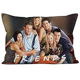 Custom Friends Tv Show Merchandise Pillowcase Zippered Pillow Case 20X30inch Super Soft Bedding (Two Sides & Official Friends Product) (FS-01)