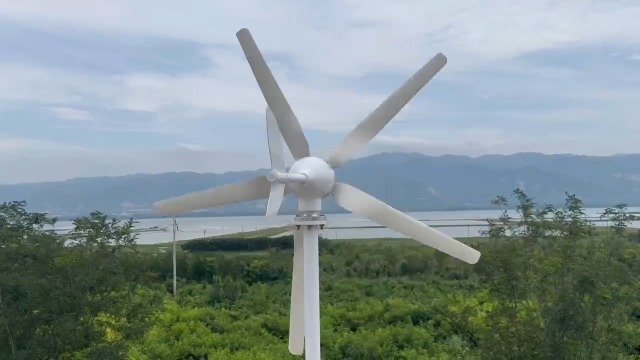 Amazon.com: ZHOZHUT 12V 24V 48V 5 Blade Small Wind Turbine 800W